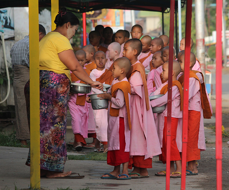 Caring for the Earth is our dharma
